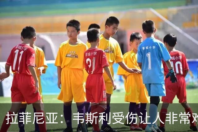 拉菲尼亚：韦斯利受伤让人非常难过，但他还年轻未来还有很多机会